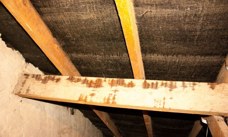 Building Repair Service in Charleston, SC
