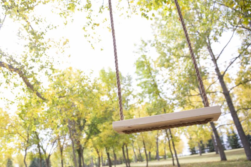 Swing Assembly in Conroe, TX